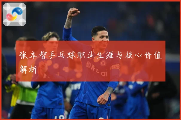 张本智乒乓球职业生涯与核心价值解析