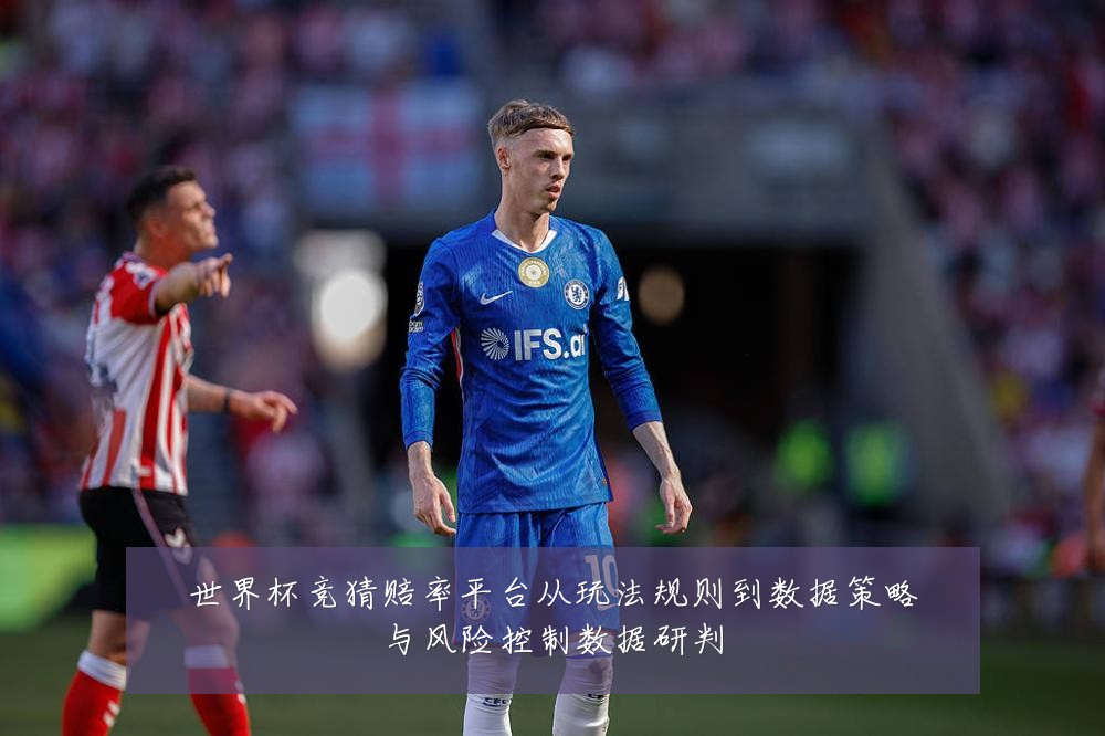 世界杯竞猜赔率平台从玩法规则到数据策略与风险控制数据研判