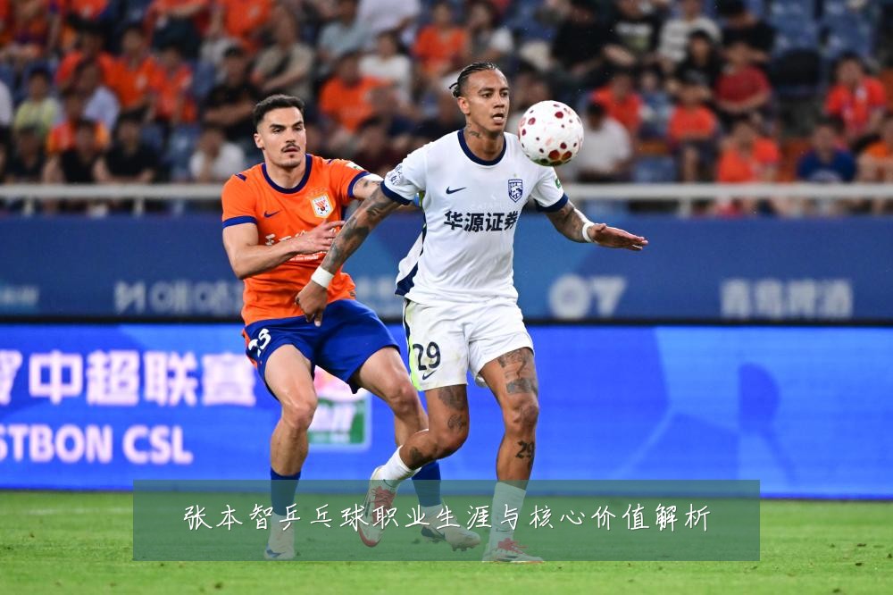 张本智乒乓球职业生涯与核心价值解析