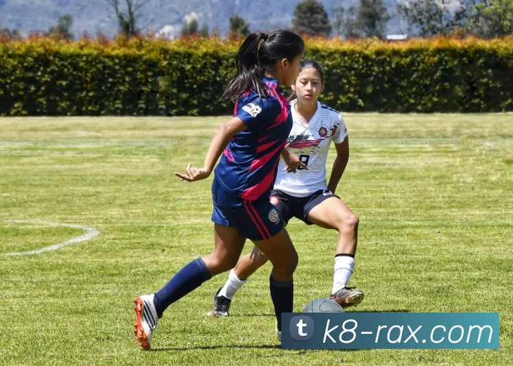 凯发体育直播平台全面解析，畅享精彩赛事实时互动体验